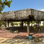 Forest Island Apartment In Salalah
