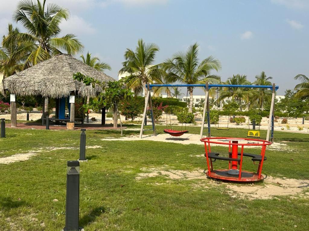 Forest Island In Salalah
